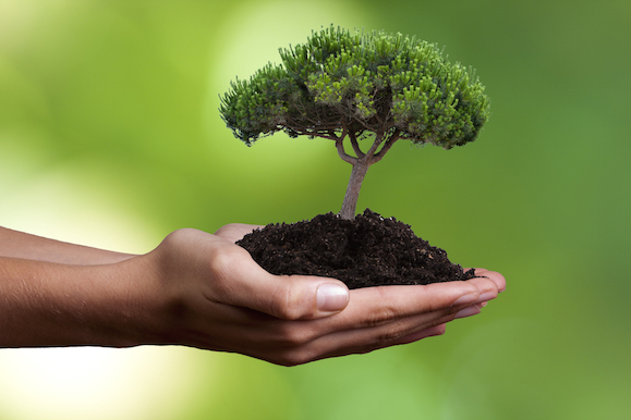 Consulting on Sustainability Messaging